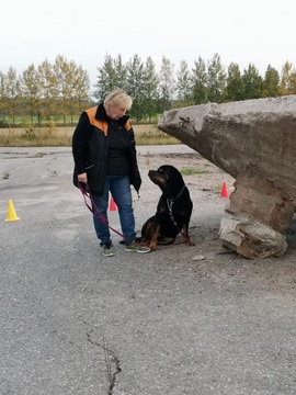 Noseworkin jatkuva ryhmä